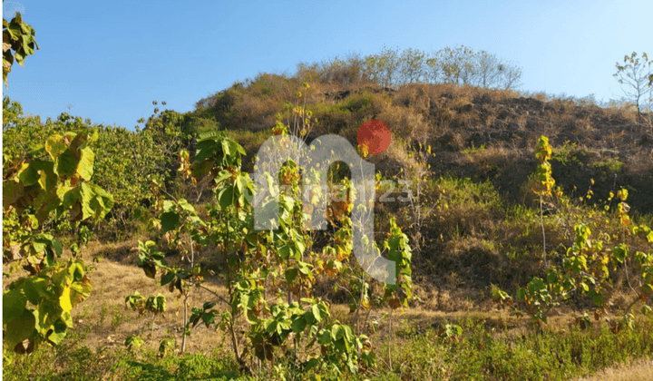 DIJUAL TANAH DI DAERAH WONOSOCO KUDUS 1