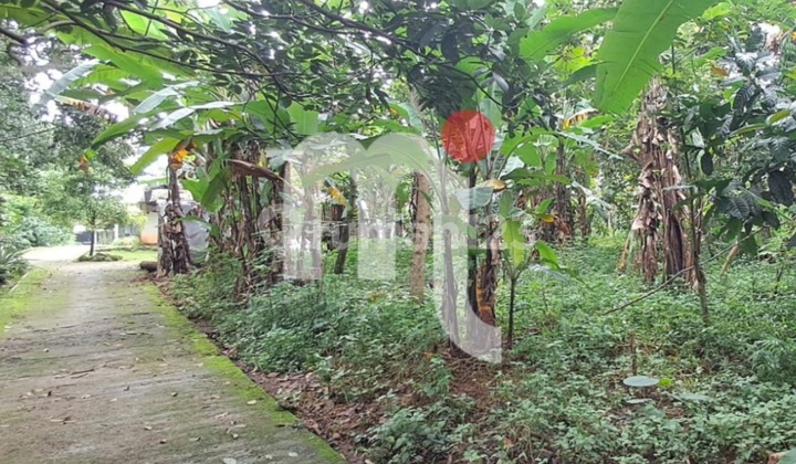 Dijual Bidang Tanah di Limbangan Dijual Bidang Tanah di Limbangan