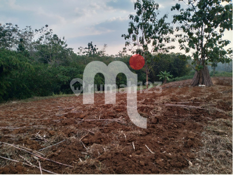 DIJUAL TANAH LUAS DI DAERAH WONOLOPO, MIJEN, SEMARANG 2