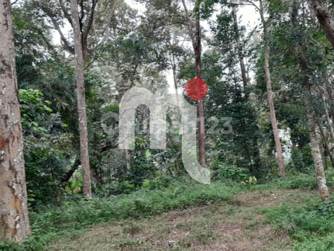 Dijual Tanah di Gunungpati 1