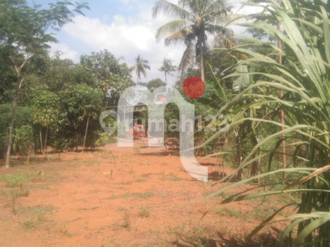 DIJUAL TANAH LUAS ADA BANGUNAN, DI DUSUN SECEKEL, MIJEN, SEMARANG 2