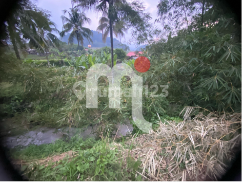 DIJUAL TANAH LUAS DI BOJA, KENDAL DIJUAL TANAH LUAS DI BOJA, KENDAL