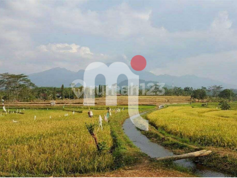 DIJUAL TANAH DI DAERAH POLAMAN, MIJEN SEMARANG 2