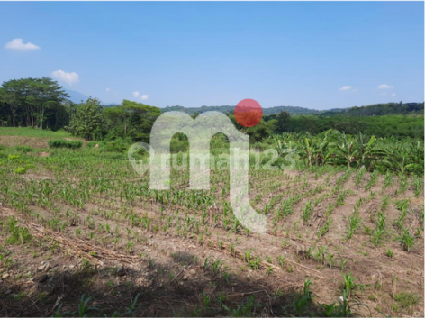 DIJUAL TANAH LUAS 25 HA, DI GUNUNG PATI, SEMARANG 2