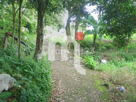 Dijual Bidang Tanah di Bawen, Kab. Semarang 2