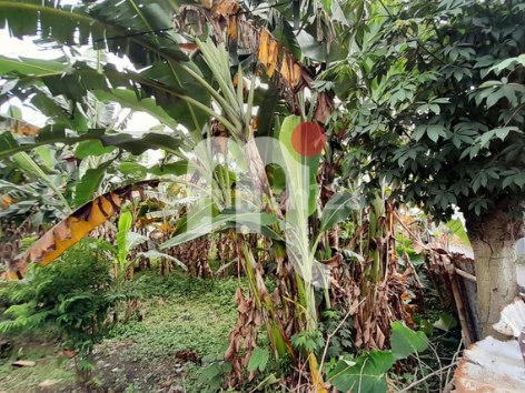 Land for Rent in Suratmo, West Semarang 1