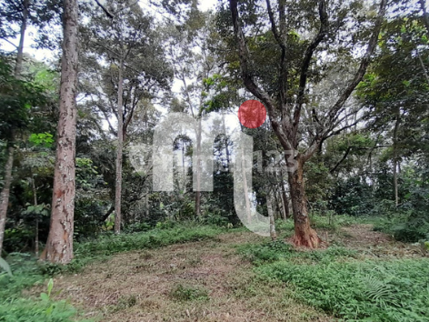 Dijual Tanah di Gunungpati 2