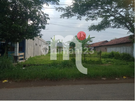 DISEWAKAN TANAH LUAS DI DAERAH KENDAL