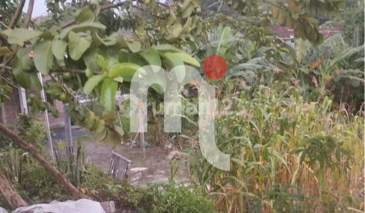 Dijual Bidang Tanah Luas di Kaliwungu
