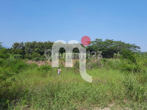 DIJUAL TANAH LUAS 25 HA, DI GUNUNG PATI, SEMARANG 1