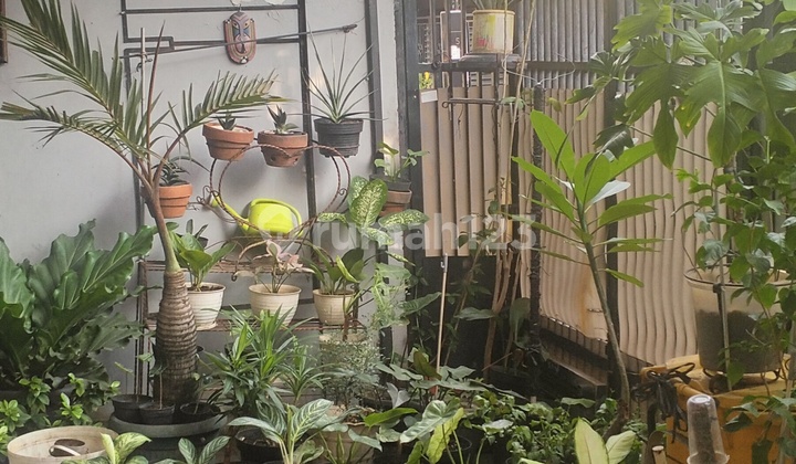 Dijual Rumah Siap Huni Kokoh Letak Strategis Di Menteng Jakarta Selatan 2