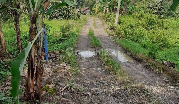 Dijual Tanah & Aset Usaha Yang Masih Beroperasi 2