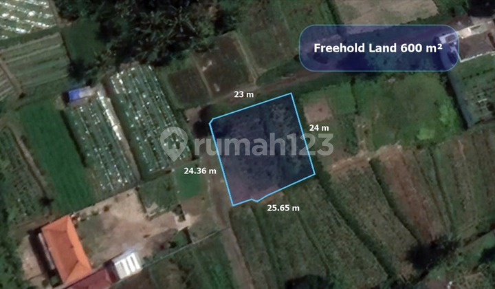 DIJUAL TANAH LUAS MURAH DEKAT PANTAI DI SABA GIANYAR BALI DIJUAL TANAH LUAS MURAH DEKAT PANTAI DI SABA GIANYAR BALI