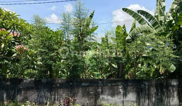 FOR SALE SPACIOUS LAND IN A GREAT LOCATION AT DRUPADI RENON DENPASAR