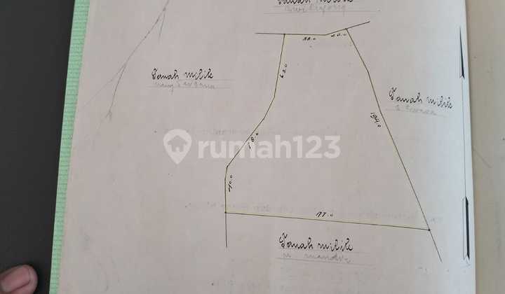 FOR SALE CHEAP COFFEE PLANTATION LAND IN PUJUNGAN, PUPUAN, TABANAN FOR SALE CHEAP COFFEE PLANTATION LAND IN PUJUNGAN, PUPUAN, TABANAN