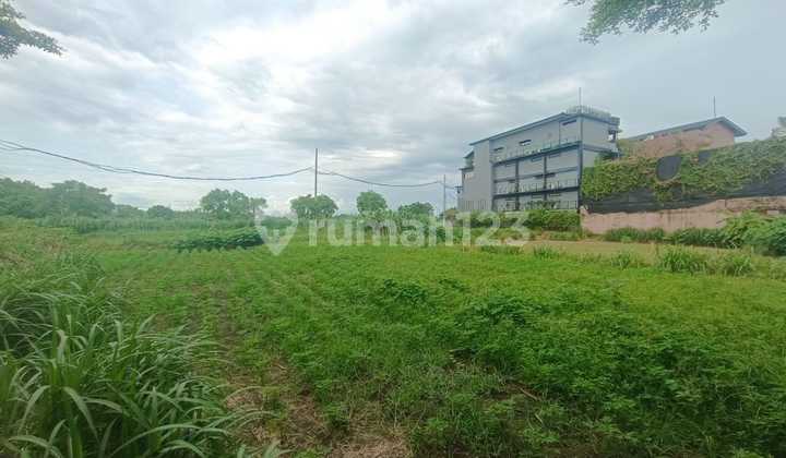 Dijual Tanah Luas di Pinggir Jalan Baypas Sanur Denpasar Dijual Tanah Luas di Pinggir Jalan Baypas Sanur Denpasar