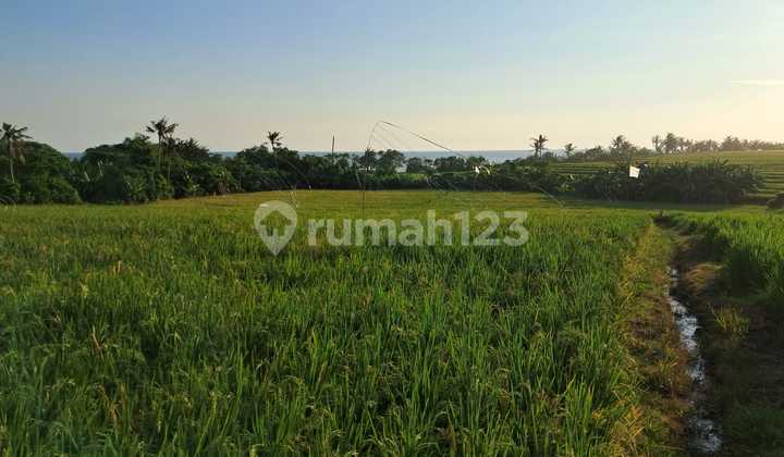 FOR SALE LAND IN PASUT BEACH TIBUBIU KERAMBITAN TABANAN