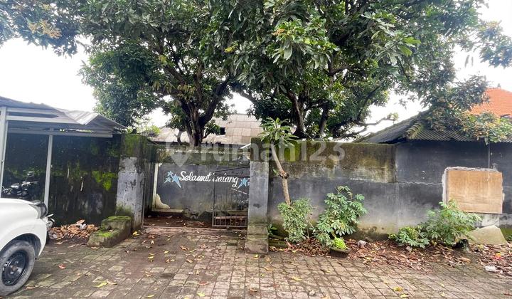 DIJUAL TANAH MURAH LOK BAGUS BONUS BANGUNAN DI RENON DENPASAR 1