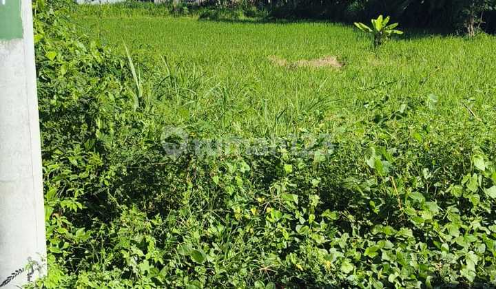 FOR SALE: AN AFFORDABLE FLAT LAND IN PERING GIANYAR