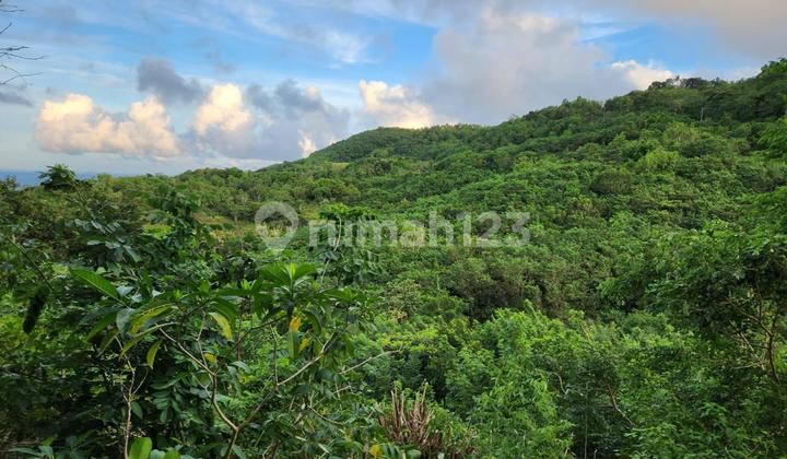 DIJUAL TANAH LUAS DAN MURAH LOKASI BAGUS DI NUSA PENIDA BALI  1