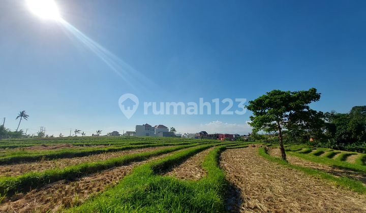 DIJUAL TANAH LUAS KAWASAN VILLA DI MUNGGU BADUNG BALI 