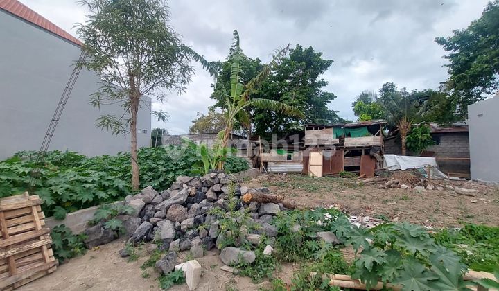 FOR SALE: CHEAP LAND IN ELITE AREA OF RENON, DENPASAR, BALI