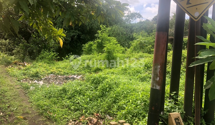 FOR RENT CHEAP LAND ON MAIN ROAD PASAR SEMBUNG MENGWI BADUNG FOR RENT CHEAP LAND ON MAIN ROAD PASAR SEMBUNG MENGWI BADUNG