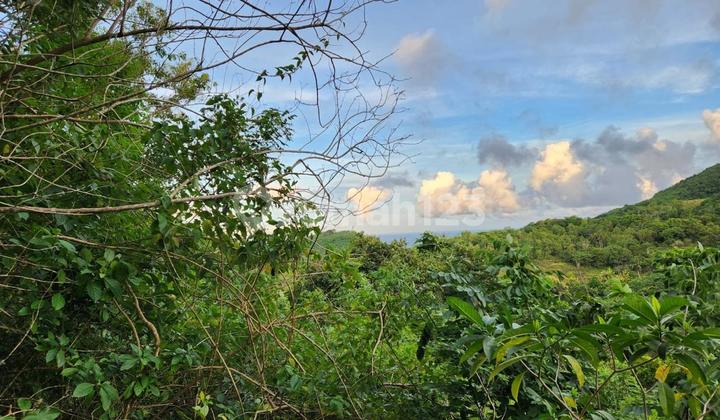 DIJUAL TANAH LUAS DAN MURAH LOKASI BAGUS DI NUSA PENIDA BALI  2