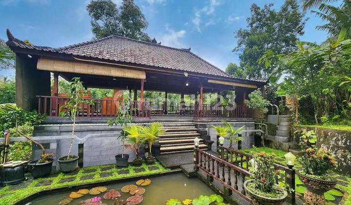 DIJUAL VILLA LOKASI NYAMAN DAN BAGUS DI TABANAN BALI DIJUAL VILLA LOKASI NYAMAN DAN BAGUS DI TABANAN BALI