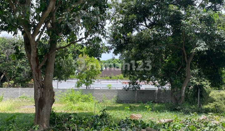 DIJUAL TANAH KAV AREA VILLA DI BATUR SARI SANUR DENPASAR BALI 