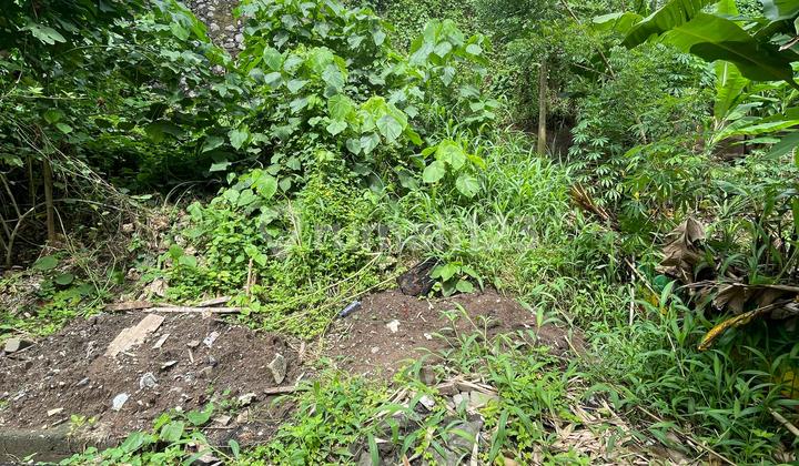 DIJUAL TANAH MURAH LOK BAGUS SIAP BANGUN DI PEGUYANGAN DENPASAR