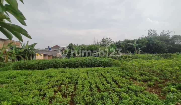 Tanah SHM Kavling Bojong Gede 2 KM Stasiun Citayam  1