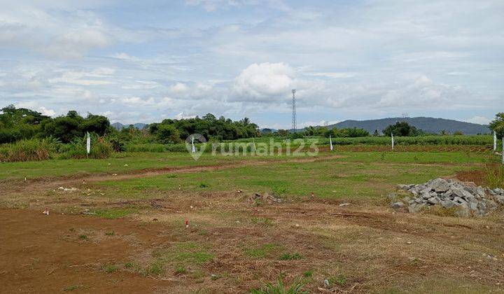 Tanah Kavling Ciampea 850 Rb-an Permeter Dekat Kampus IPB Dramaga Bogor 2