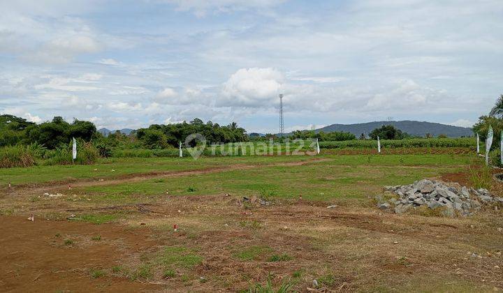 Tanah Kavling Ciampea 850 Rb-an Permeter Dekat Kampus IPB Dramaga Bogor 1