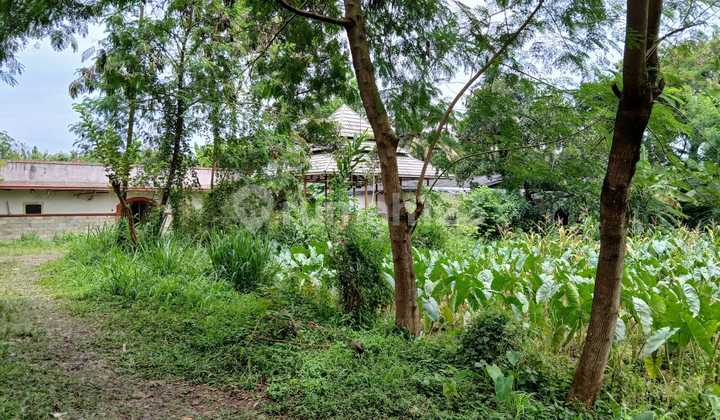 Kavlling Investasi 9 Menit Hotel Duta Berlian Free Angpao 20 Jt