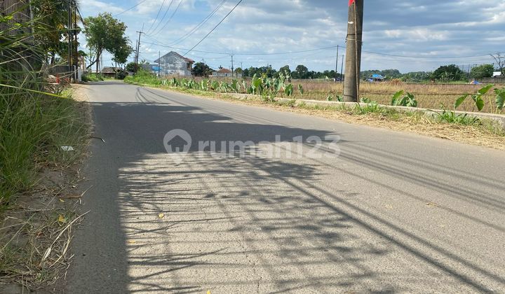 Bonus Angpao 20 Jt 5 Menit Terminal Bubulak Kavling Strategis Bonus Angpao 20 Jt 5 Menit Terminal Bubulak Kavling Strategis