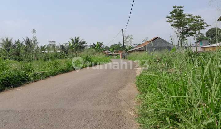 Tanah Murah 10 Menit Tol Cigombong Punya Tanah Hemat 25 Jt