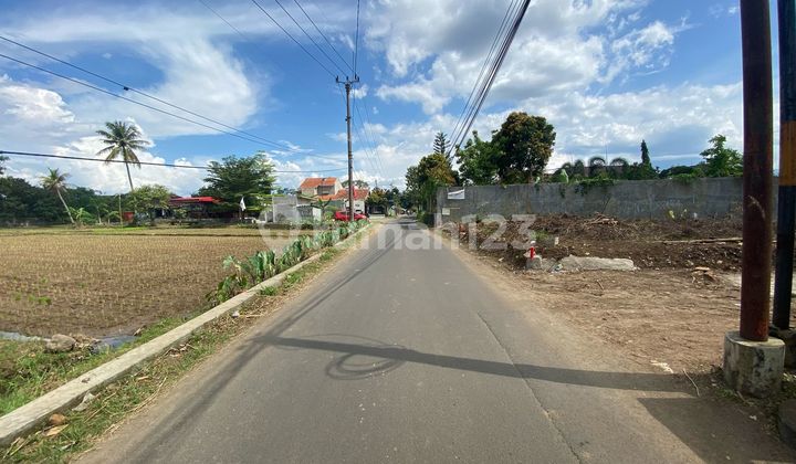 Bonus Angpao 20 Jt Kavling Kos 10 Menit Kampus Ipb Bonus Angpao 20 Jt Kavling Kos 10 Menit Kampus Ipb