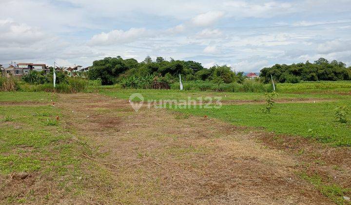 Spesial Kavling Ciampea Bogor Harga Terjangkau, View Bukit Lalana    2