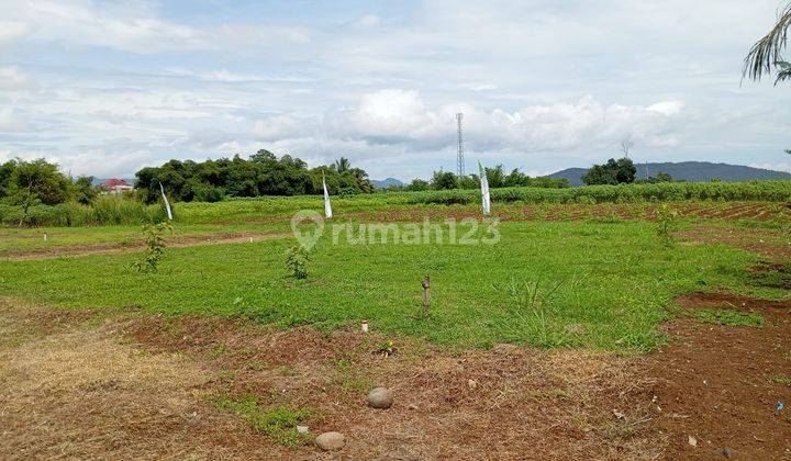 Spesial Kavling Ciampea Bogor Harga Terjangkau, View Bukit Lalana    1
