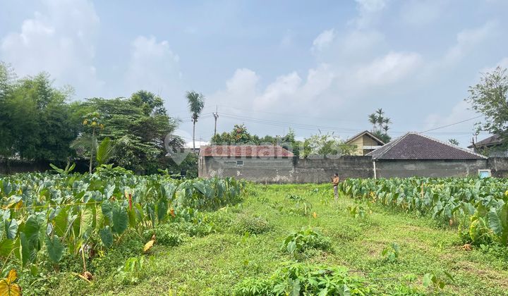 Lot Near Bubulak Terminal Chinese New Year Promotion Angpao 20 Million Lot Near Bubulak Terminal Chinese New Year Promotion Angpao 20 Million