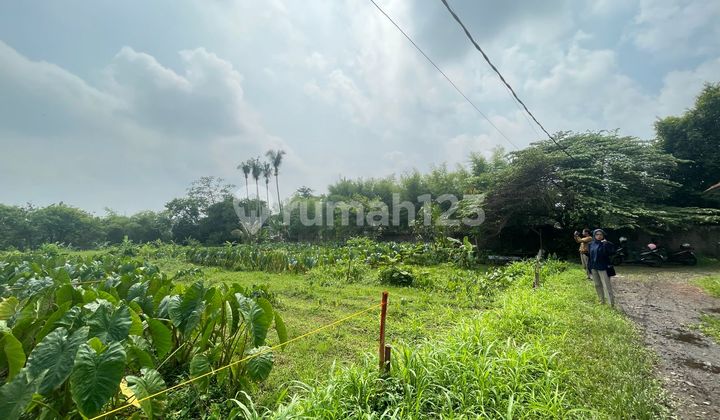 Kavling Premium Dekat Ipb Bonus Kulkas & Mesin Cuci, Promo Terbatas Kavling Premium Dekat Ipb Bonus Kulkas & Mesin Cuci, Promo Terbatas