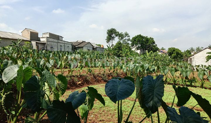 12 Menit Stasiun Cilebut, Kavling Investasi di Bogor