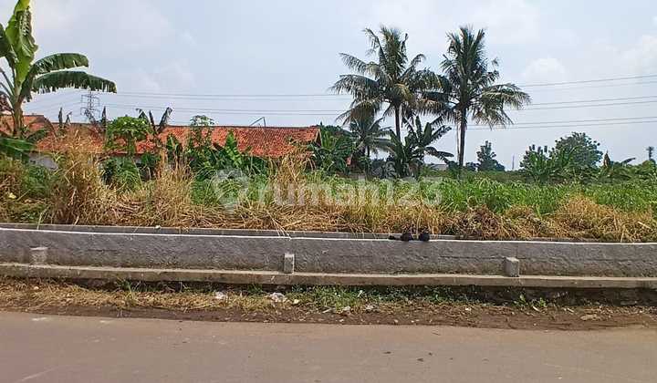 Cilebut Plot 10 Minutes to Marcopolo Cimanggu City, Bonus TV Cilebut Plot 10 Minutes to Marcopolo Cimanggu City, Bonus TV