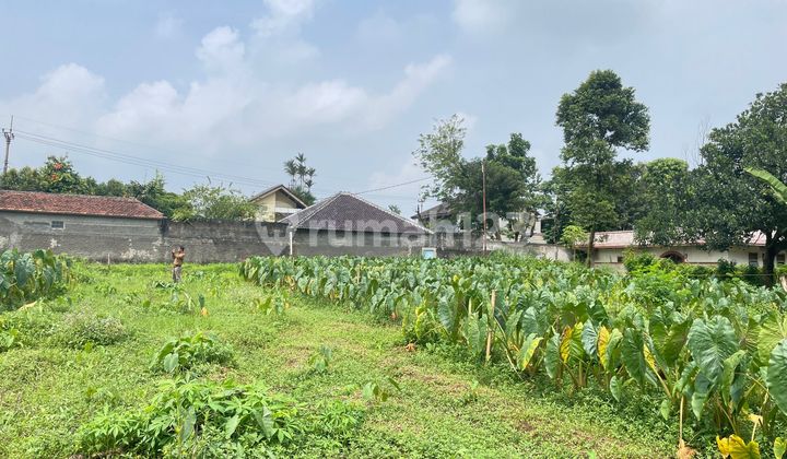 Dekat Ipb Dramaga, Kapling Special Bonus TV Dekat Ipb Dramaga, Kapling Special Bonus TV