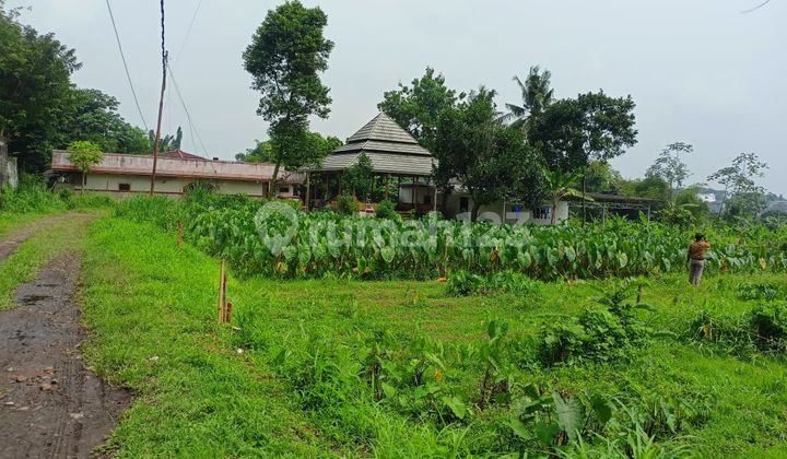 Kavling Premium Dekat Ipb Bonus TV, Promo Tahun Baru Kavling Premium Dekat Ipb Bonus TV, Promo Tahun Baru