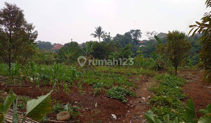 Tanah Area Ekslusif Di Jamin Harga Paling Hemat Luasan 92m2 2