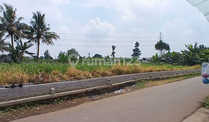 Asphalt Roadside, Affordable Plot 10 Minutes to Cilebut Health Center Asphalt Roadside, Affordable Plot 10 Minutes to Cilebut Health Center