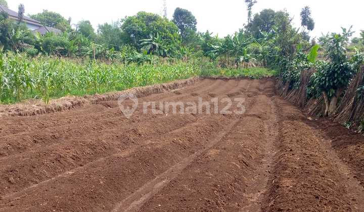 Kavling Investasi di Tamansari Bogor, Bonus HP Samsung