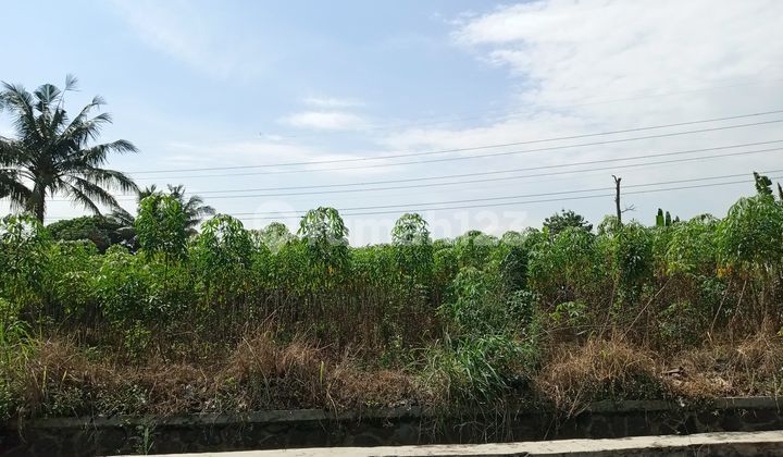 Kapling Cilebut 10 Menit Bukit Cimanggu City, Harga Murah Promo Imlek